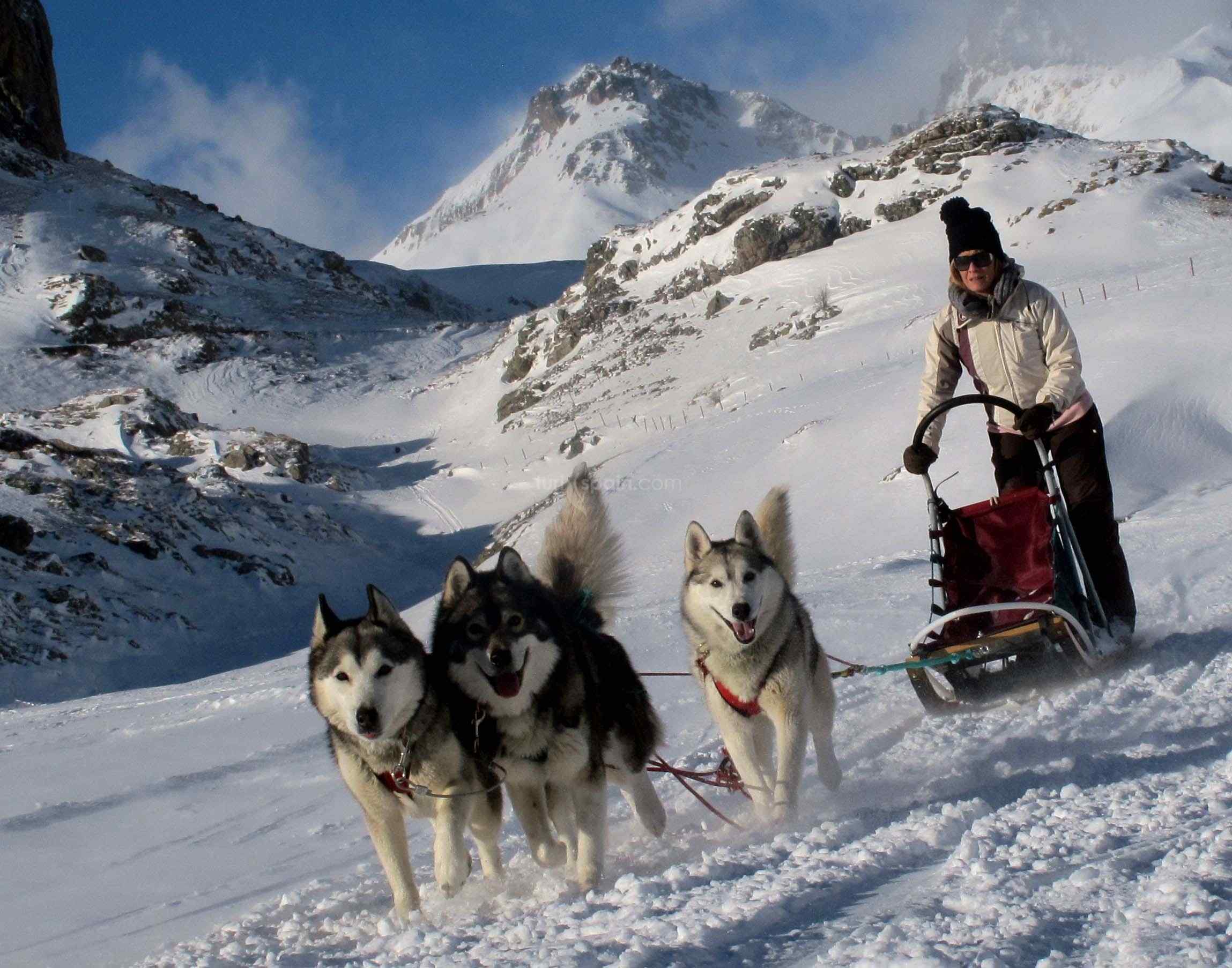❄️ Practica el Trineo tirado por Perros en Huesca ❄️ Mushing en el Pirineo