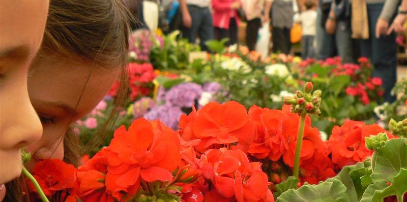 Biescas celebra su Feria de la Primavera