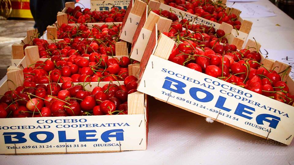 🍒 La Feria de la Cereza de Bolea 🍒 Turismo, Cerezas y 3 Recetas para degustarlas