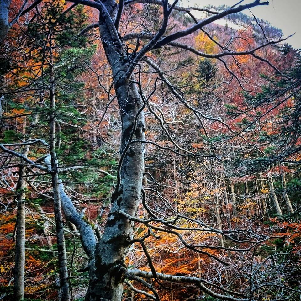 Los colores de Huesca en otoño