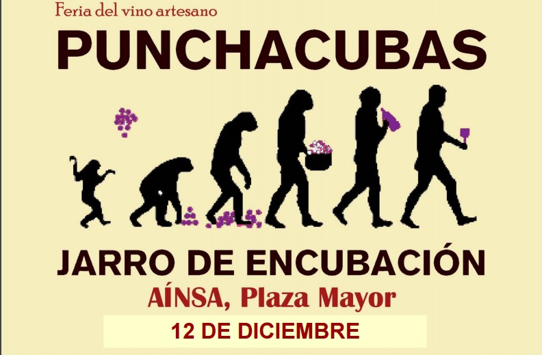 punchacubas 2015