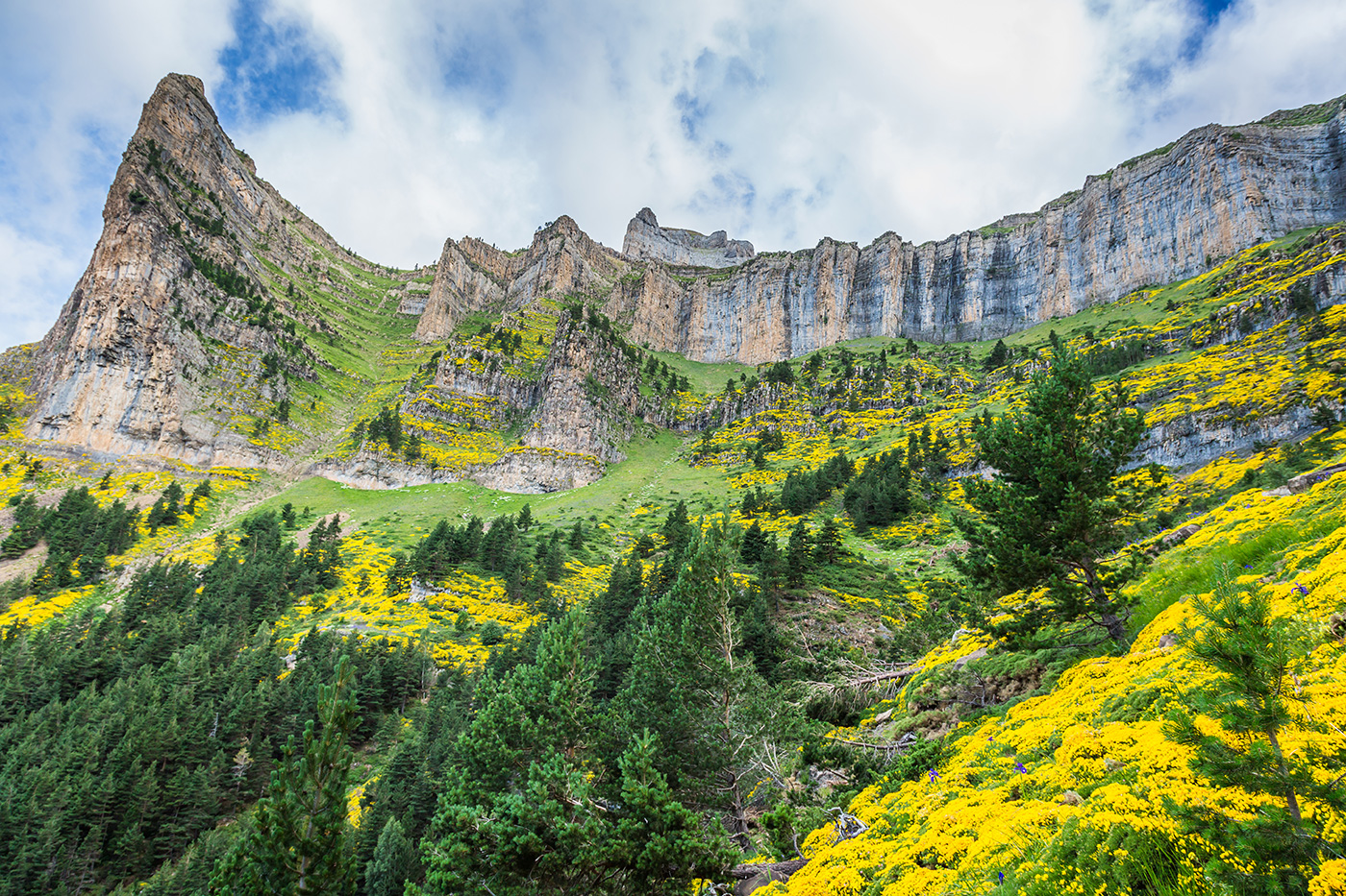 Los 10 bosques más espectaculares para descubrir en Huesca 🌲🌳🍄