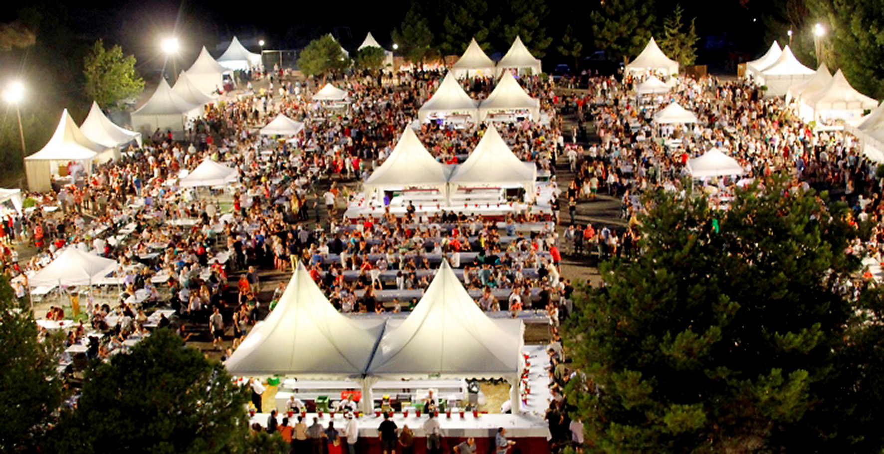 Festival Vino Somontano 2023 🍇🍷 Catas, Espectáculos, Gastronomía y Cultura