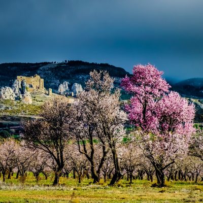 Ruta histórica 🏰 rodeada de almendros en flor 🌸 por los monumentos y pueblos más bonitos de Huesca